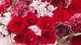 nice-flowers - photo7