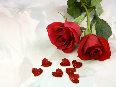 red-roses - photo14