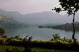 BHANDARDARA