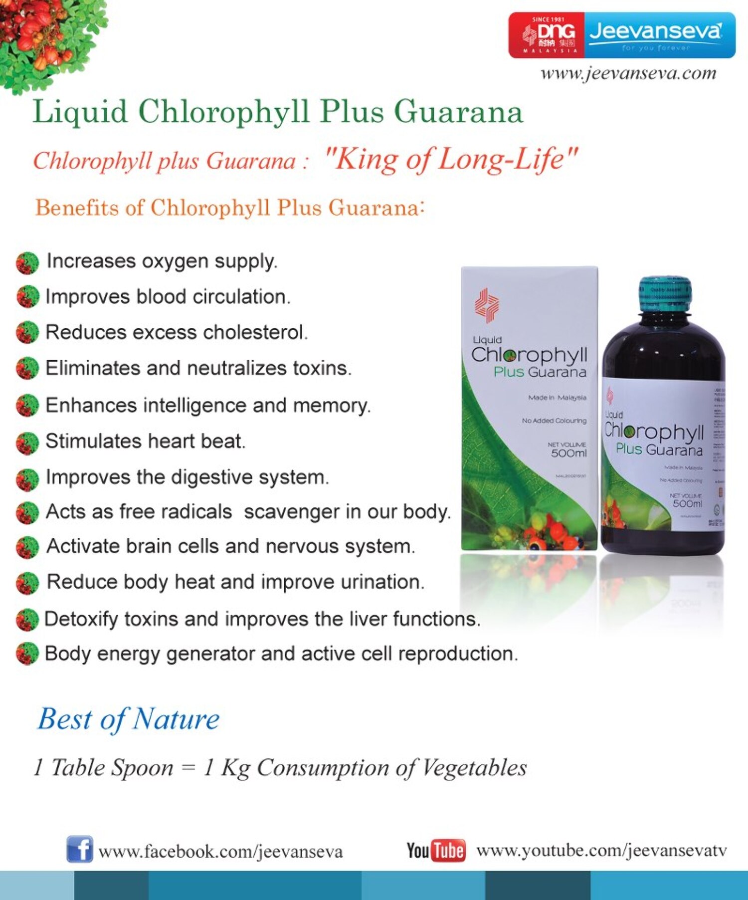 jeevanseva-chlorophyll-plus-guarana-jeevanseva-photo-5-from-album