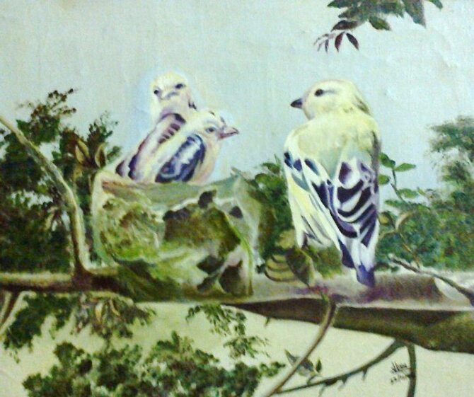 Code Magon27  Birds