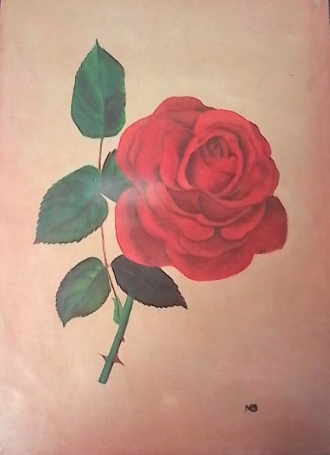 Code Magon31  Red rose flower