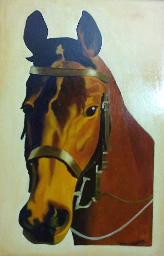 Code Magon16  Horse face